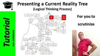 Presenting a Current Reality Tree, for you to scrutinize