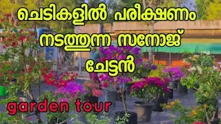 ചെടികളിലെ പരീക്ഷണം നടത്തി വിജയിക്കു ന്ന ഒരാൾ 😍 #gardening #homegardening 