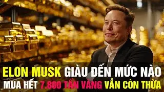 Giải M&atilde; T&agrave;i Sản Của Elon Musk Khổng Lồ Tới Cỡ N&agrave;o