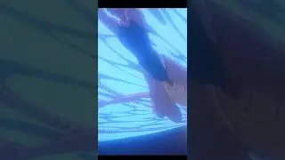 Водный карма.  #подкаст #goldenboy #аниме #anime #золотойпарень #gachi