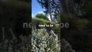Do you know this? 😌 #truth #affirmations #meditation #nature #springtime #relaxing #peace #peaceful