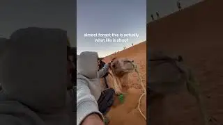 love my pet camel fr 🐫 #travel