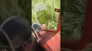 #osttechnik #riccic #farmvlog #farming #agriculture #fy #landwirtschaft #farm