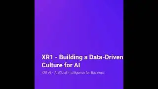 XR1 &ndash; Building a Data-Driven Culture for AI
