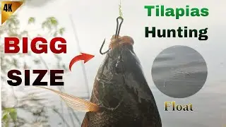 Simple Float Fishing|Float Fishing tips|Earthworm Fishing Techniques