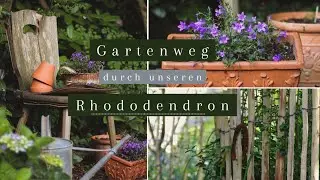 Gartenweg durch unseren riesen Rhododendron - Garten Makeover