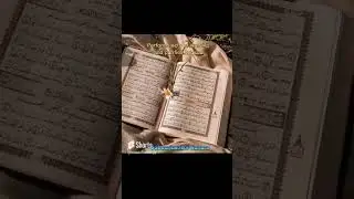 ROLES OF WOMEN IN ISLAM 🌺🕋 #islam #islamicvideo #islamic #hijab #muslim #abaya #shorts #muslimah