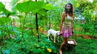 Интуитивное садоводство