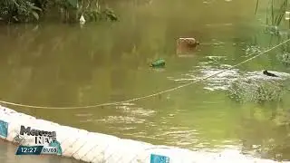 Projeto Ecobarreira do Rio Atuba