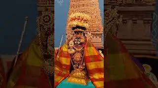 #velukkudikrishnan #namperumal