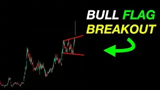 ALERT 🚨: THIS STOCK IS ON 🔥 #stockmarket #lmnd