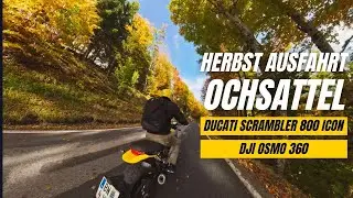 Ducati Scrambler 800 Icon | Ochsattel Autumn Cruise POV | DJI Osmo 360