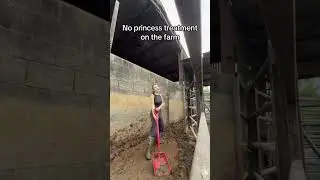 No princess treatment on the farm#farmgirl #farmlife #womeninag #farmtok #farmer
