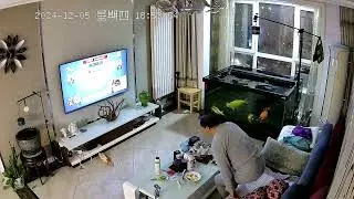 Fish jumps out of aquarium in unexpected mishap &ndash; Tianjin, China