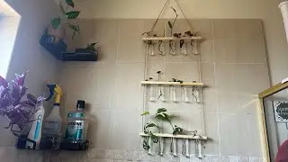 Ivolador Wall Hanging Planter Terrarium with Wooden Stand