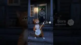 #Sora #VideoAI #banjocat #funny #cinematic #ночь #кот #женщина #банжо #смешно
