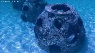 ANMR0004 ReefBalls 1