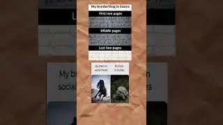 Meme of the day #funnyfoxes #memes #funnymemes #youtubeshorts #shortvideos #shorts