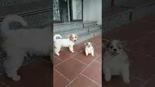 Small But Mighty Baby!