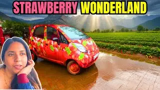 Best of Mahabaleshwar: Mapro Garden + Main Market 🍓
