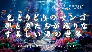 【睡眠用BGM・ASMR 睡眠・泡の音 水の音】色とりどりのサンゴ礁と魚たちが織りなす美しい海の世界 | 100% 泡の音 睡眠 音楽｜水中の音｜癒し｜バブルタイマー｜睡眠導入