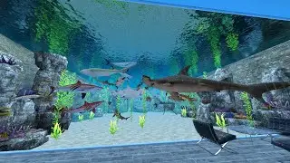 Real VR Fishing: Fish Search