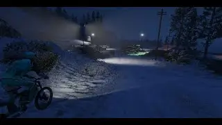 DH5*