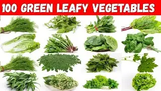 Green Leafy Vegetables | Learn Names Of 100 Healthy Green Leafy Vegetables You Must Know