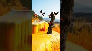 Golden Tide in a Fantasy Village