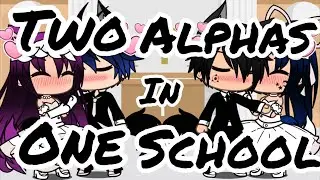🐺Two Alphas In One School🐺 FINALE🐺