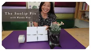 Gift Wrapping: Plant, Paper, Scissors