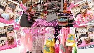 Teacup Yorkie Models Luxury Dog Clothes at the Mall! | Minnie&rsquo;s First Modeling Event