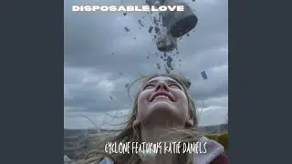 Disposable Love&nbsp;