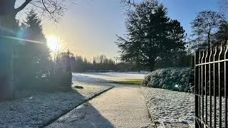 Silent Snow Walk ❄️ Peaceful Winter Walk for Deep Calm & Focus