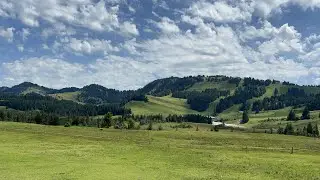 Hochhäderich (1566 m) - Falken (1564 m) - Fluh (1391 m) - Kojenstein (1300 m) (03. Juli 2022)
