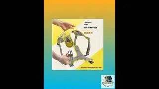 Traction Strap Shock Absorption Comfortable Night Vision Reflective Pet Harness