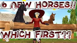 Star Stable Buying SIX NEW HORSES  - Wheel Spin Decides Which One First!