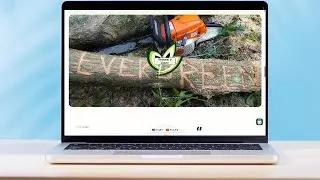 Evergreen Tree Co. Website Redesign | Modern Web Design & Development