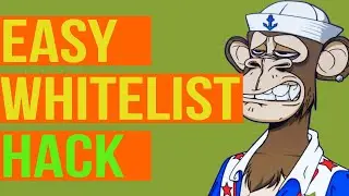 Here's How To Get Onto Any NFT Whitelist With This Hack!