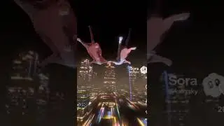 Two Cats Soaring The Night Sky Together 🚀