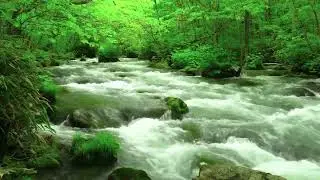 Pihentető foly&oacute;v&iacute;z &bull; Calm water sounds | pihentető term&eacute;szethangok alv&aacute;shoz