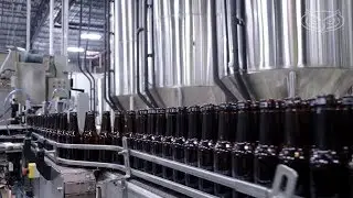 #FAU Alumni Success Story: Founders of Islamorada Beer Company