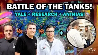 IVY LEAGUE RESEARCH & A REEF AQUARIUM TEAM COMPETITION!