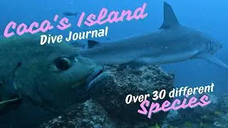 A Journey to Cocos Island Costa Rica - One Divers 's Journal - Over 30 Marine Species Identified