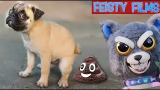 Feisty Poop Jokes Compilation