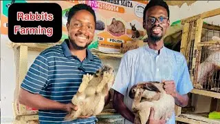 Rabbit farming with Dr. Ibrahim Dahiru 