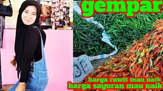 CHILI AND VEGETABLE PRICES ARE SHOCKING TODAY #CIBITUNG MAIN MARKET #6 JAN 2026