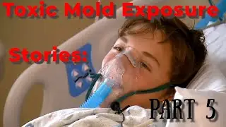 Toxic Mold Exposure Stories: In The Media PART 5