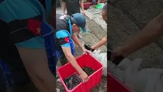 Ph&oacute;ng sanh 14/01al b