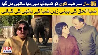 No More Loneliness | Kaavan Makes New Friends | Story of Zia-ul-Haq Daughter Zain Zia's Elephant